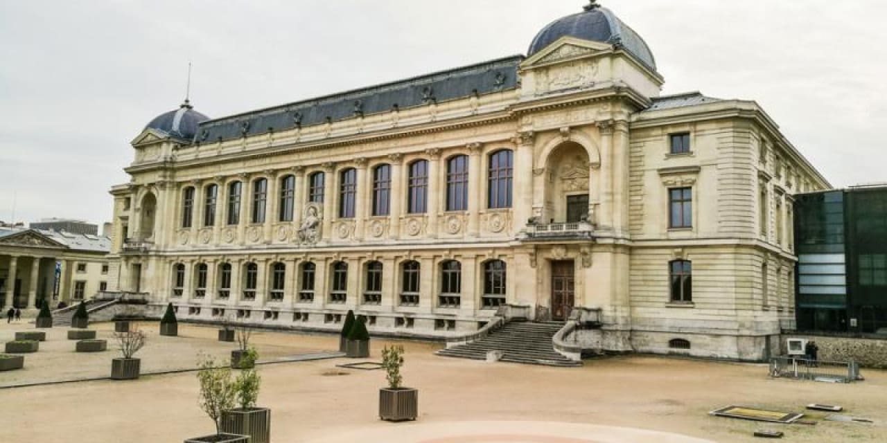 baskentte muze soygunu 29 milyonluk altin calindi XvBXktu8