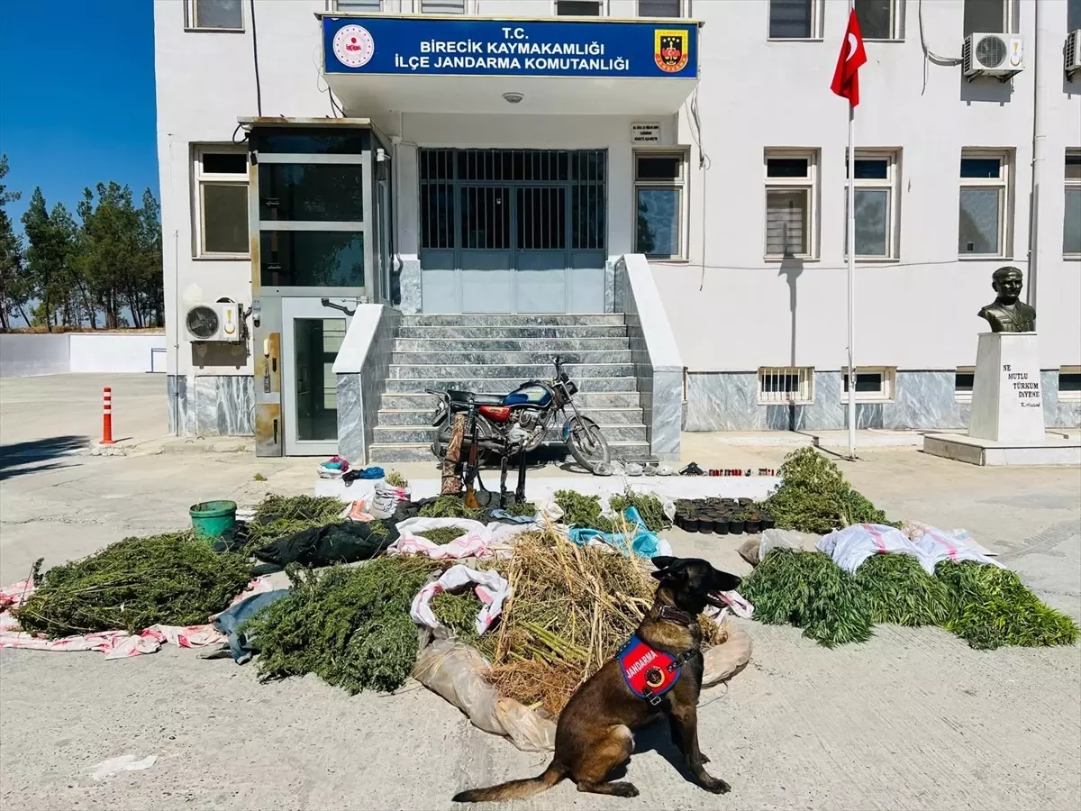 birecikte uyusturucu operasyonu 3 gozalti hynZuhng