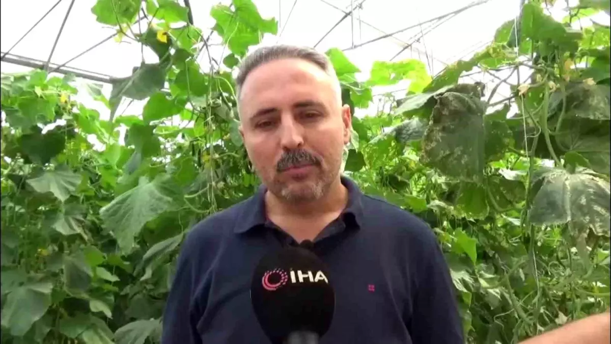 diyarbakirda salatalik serasi kuruluyor 20 kisiye istihdam saglaniyor 8UFCKsXL