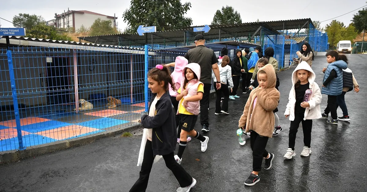 istanbul beylikduzunde ogrencilerden can dostlara anlamli ziyaret A7rZE5Er