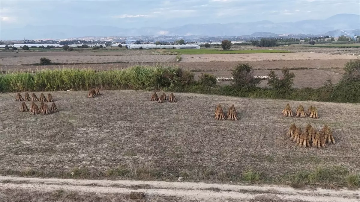 manavgat altin susami abde tescilleniyor M3fk1EA4.jpg