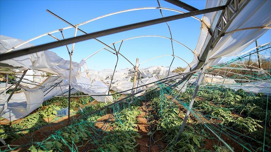 tarim sigortalari kapsaminda ureticilere 315 milyar lira hasar tazminati odendi mp1YNMSR