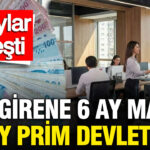 genc-istihdam-hamlesinin-detaylari-netlesti-ise-girene-6-ay-maas-18-ay-prim-devletten-NsGaMbJI