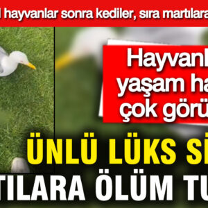 Asgari Ücretle Geçinen Aileler İçin Zorlu Günler