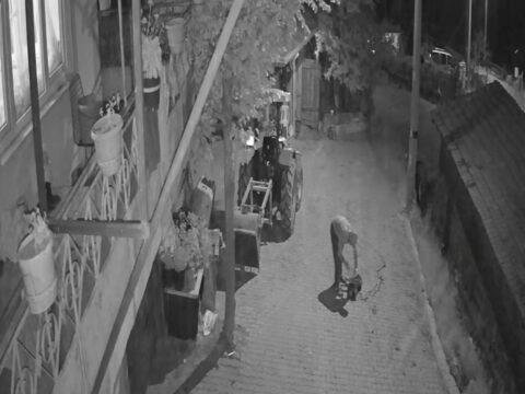 İzmit'te Köpeğe Yapılan Vahşet: Demir Sopayla Saldırı Anları Kaydedildi