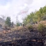 Cankirida cikan arazi yangini sonduruldu KTSgnVwX