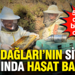 Kazdaglarinin siyah altininda hasat basladi 5 yildir dunya birincisi oluyor 9yVZepeN